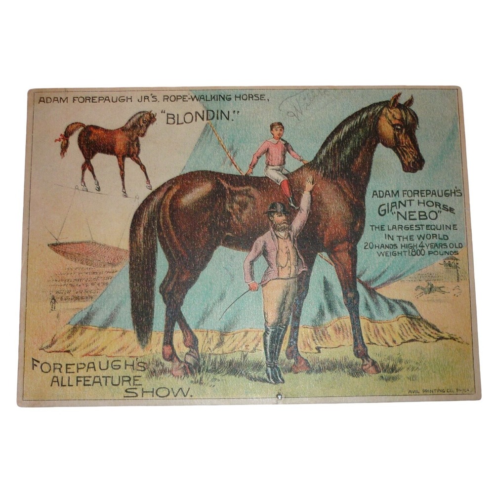 Antique Forepaugh Circus Courier Card Nebo Giant Horse & Blondin Rope Walker